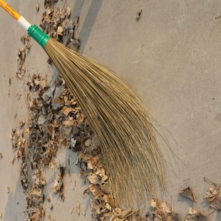大扫把扫树叶coconut stick broom家用,耐用庭院