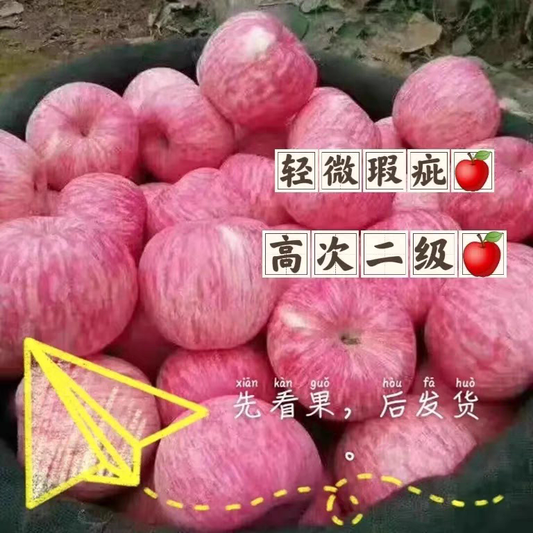山西吉县高山苹果高次二级微瑕有冰雹点有果锈脆甜果园直发