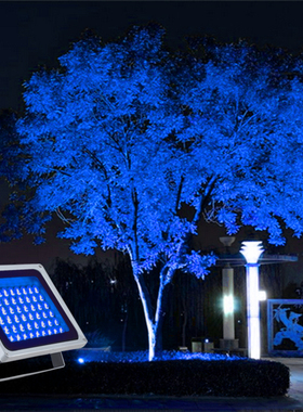 投射灯led蓝色20w30w50w亮化灯照树灯景观亮化广告泛光灯林园户外