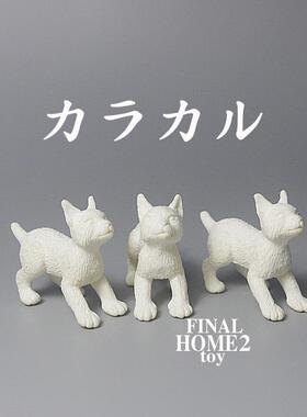 散货 狞猫 Caracal caracal 仿真野生动物模型 白模摆件玩具扭蛋