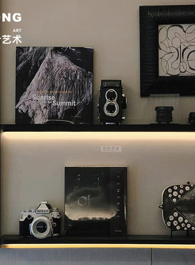 空合现代相机模型装饰画