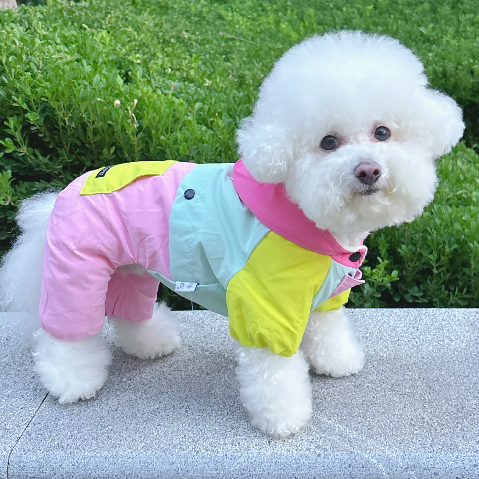 狗狗衣服秋冬款四脚棉衣小型犬泰迪比熊幼犬可牵引加绒保暖冲锋衣