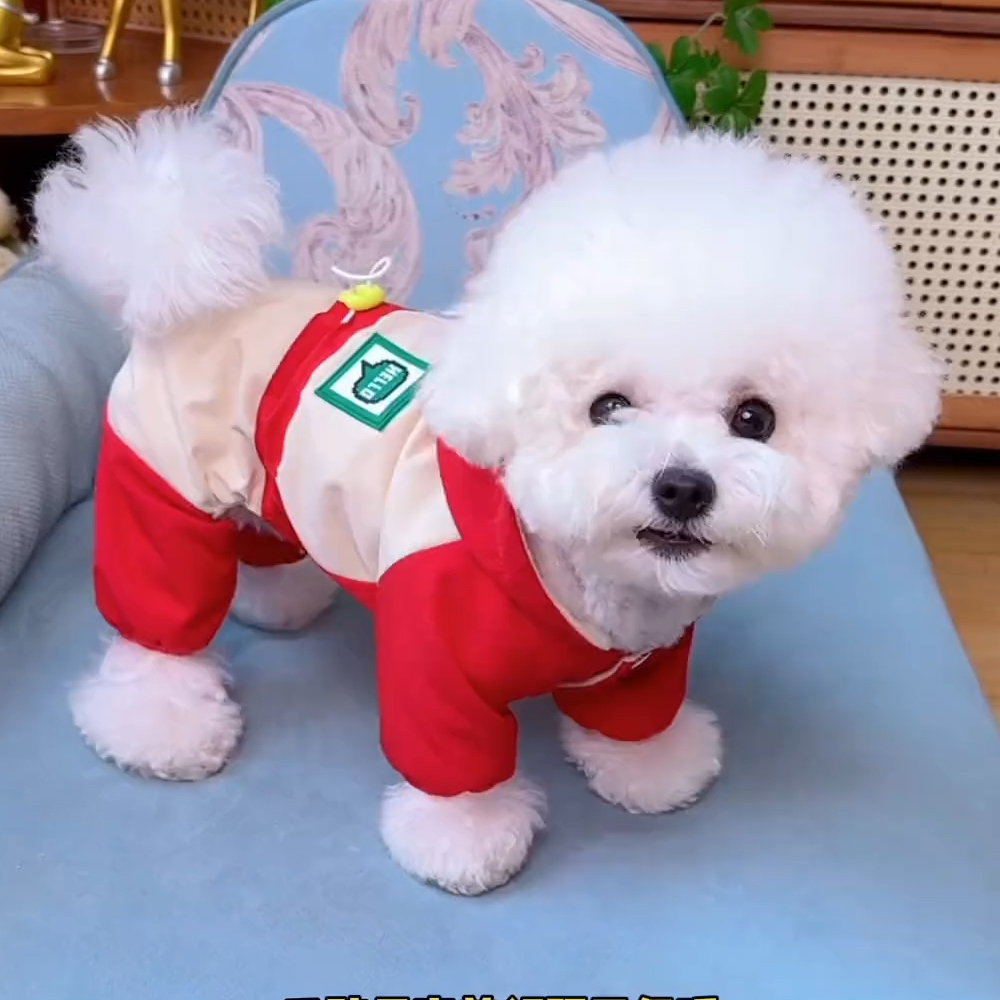 小狗户外冲锋衣狗狗衣服秋冬季防脏泰迪比熊雪纳瑞小型幼犬四脚衣