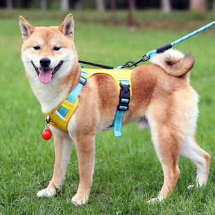 背心式狗狗牵引绳中大型犬柴犬专用不勒脖胸背带可调节遛狗绳脖圈