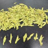 2026年明前头采黄版 豆香甜香 嘉茗一号乌牛早大佛龙井茶 2号 筱丁