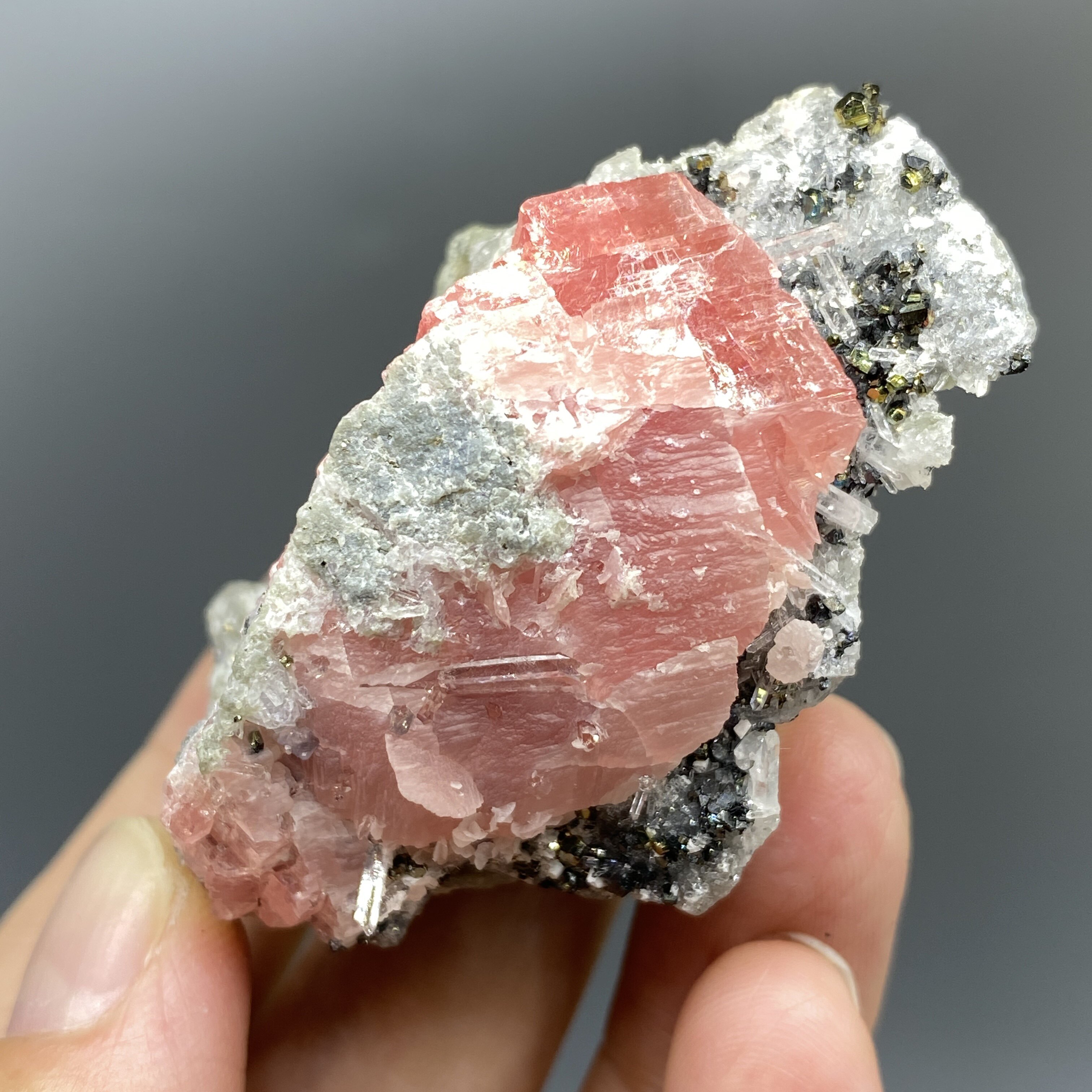 全新广西梧州菱猛矿水晶黄铁矿共生原石摆件矿物晶体儿童教学标本