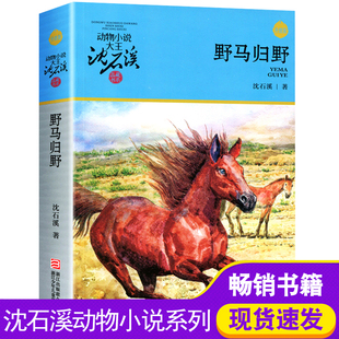 12岁青少年版 野马归野 沈石溪动物小说品藏书系升级版 小学生课外阅读书籍6 儿童文学三四五六年级儿童文学故事畅销书