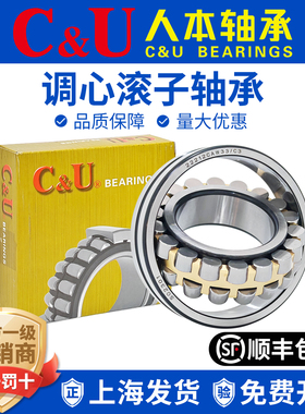 人本双列调心滚子22308 22309 22310 22311 22312轴承22313CA/W33