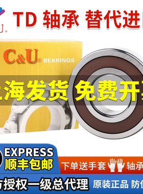 人本轴承TD系列大全6305 6306 6307 6308 6309 6310 6311 6312RZ