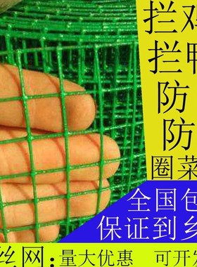小孔铁丝网围栏网养殖网家用小鸡鸭铁网防鼠防蛇钢丝网鱼塘护栏网