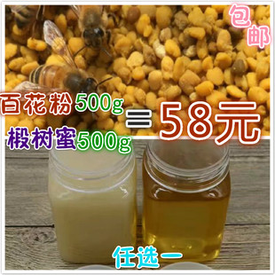 蜂花粉蜜东北椴树蜜长白山花蜜土蜂蜜百花蜜食用山花粉土蜂蜜包邮
