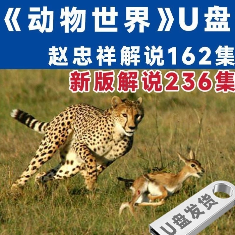动物世界海底世界纪录片u盘高清视频看戏机车载手机优盘U盘USB