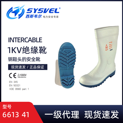 Intercable电工绝缘靴661341