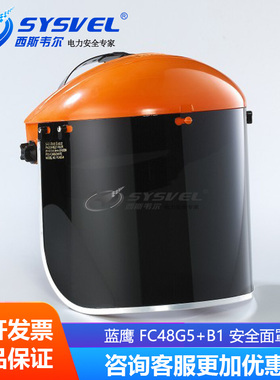 BLUE EAGLE 蓝鹰 抗紫外线安全面罩 防液体泼溅 FC48G5+B1 组合