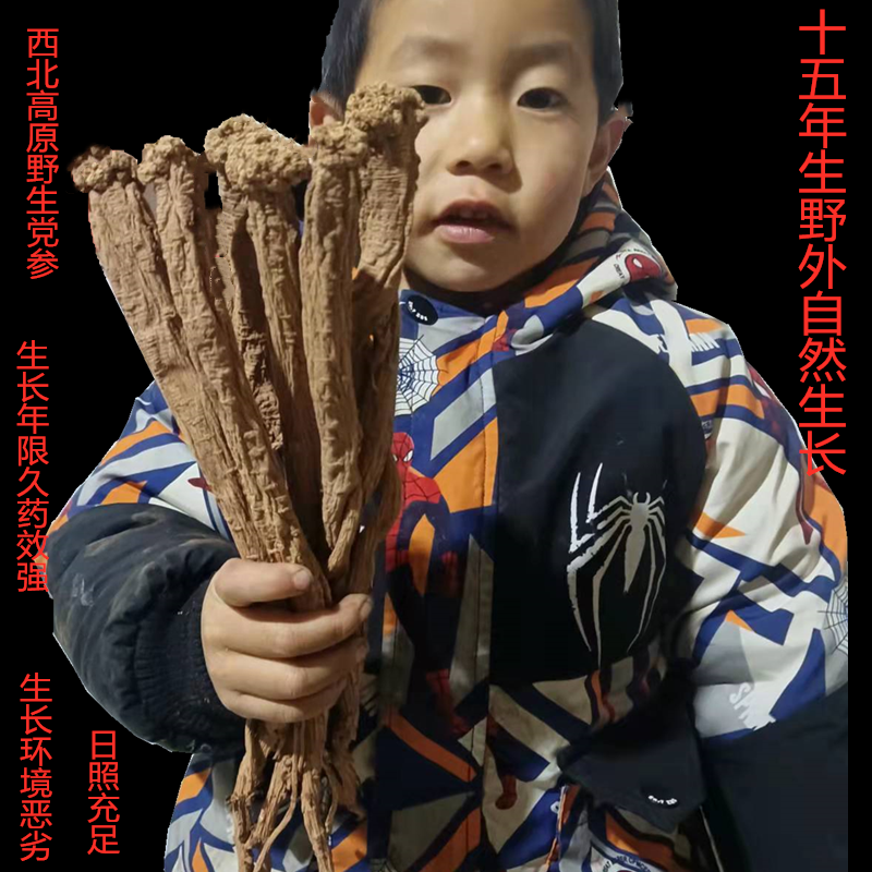 野生党生15年生特级野生纹党500克包邮干货无硫天然党参段