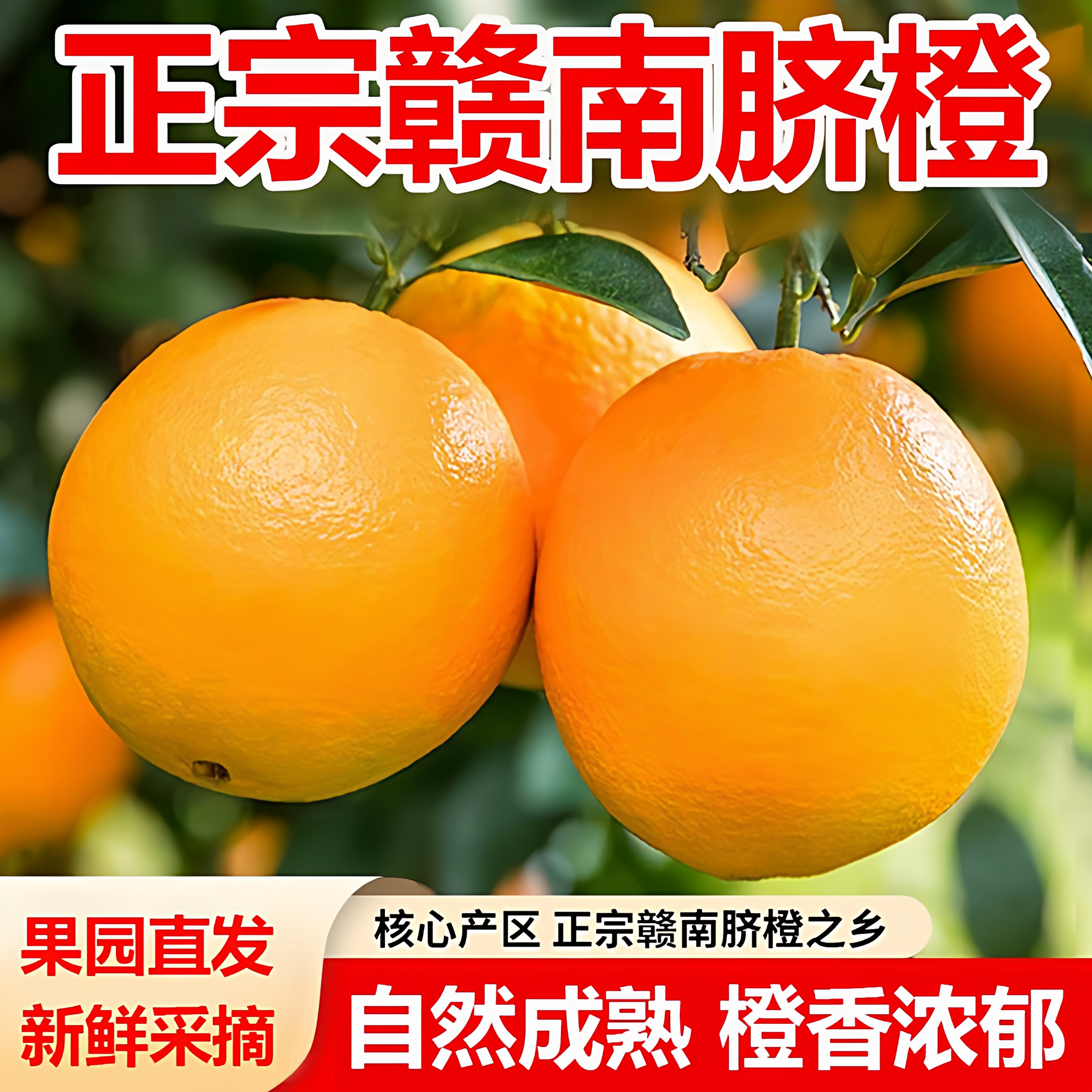赣南脐橙正宗江西赣州橙子现摘新鲜应季水果甜橙彩箱包邮