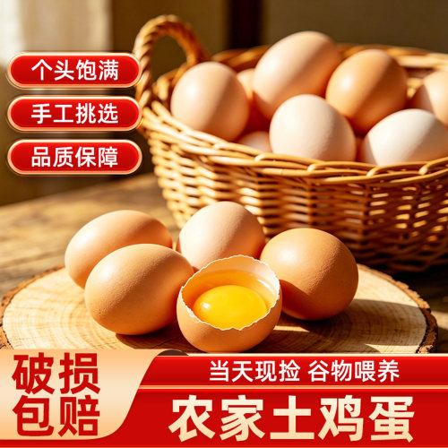 农家散养五谷新鲜大鸡蛋50g/枚