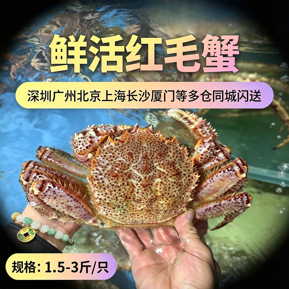 【2斤/只】鲜活红毛蟹深海螃蟹海鲜水产特超大螃蟹帝王长脚蟹