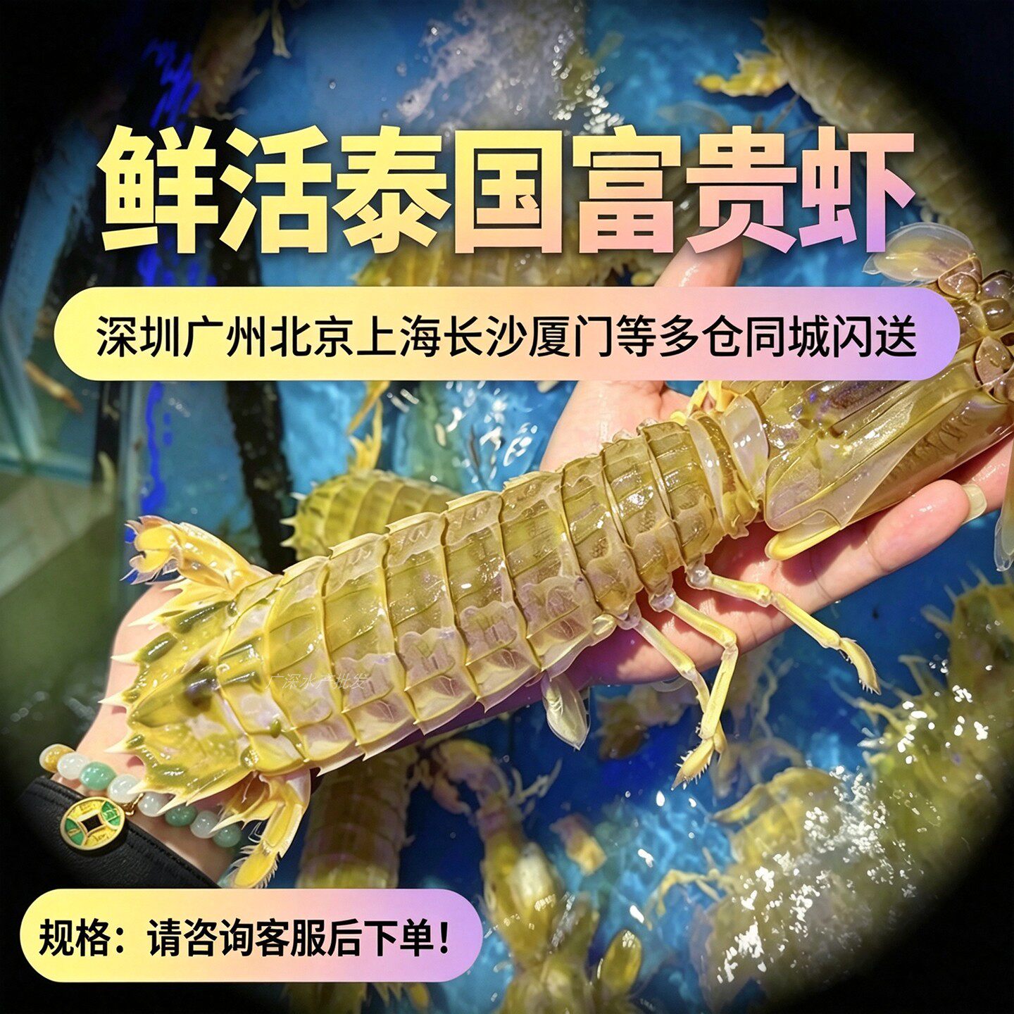 鲜活富贵虾泰国皮皮虾超大濑尿虾不带糕无膏带膏虾爬子