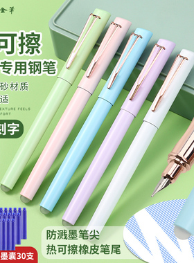 永生钢笔3529A热可擦墨囊钢笔儿童钢笔替换墨囊正姿练字学习用品