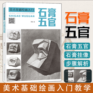 美术基础绘画入门 石膏五官 周聪 著 绘画基础 初学素描画石膏五官素描头像步骤范画临摹书 湖北美术出版社