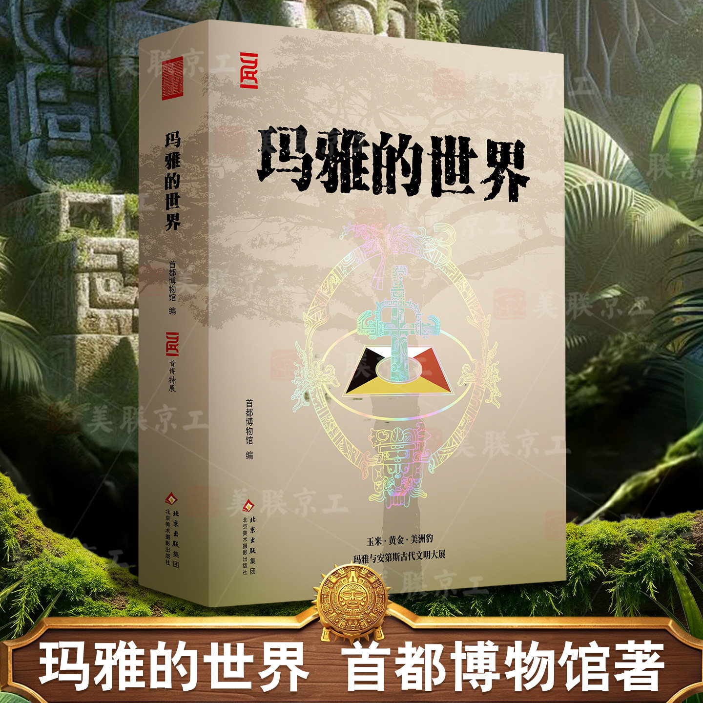 正版现货 玛雅的世界 首都博物馆编 玛雅文明书籍解读失落文明之谜 北京美术摄影出版社