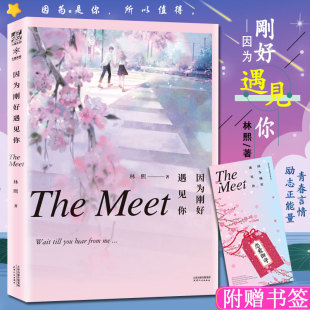 暖心校园励志成功积正能量青春言情都市爱情情感成长随笔散文小说书籍余生很长何慌张 林熙著 赠书签 因为刚好遇见你