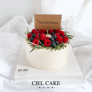 CIEL 蓝莓树莓森系小清新动物奶油水果生日创意蛋糕武汉同城 CAKE