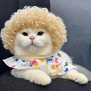 猫咪假发宠物猫头发狗狗头套头饰发型COS坤坤同款搞笑奶奶灰帽子