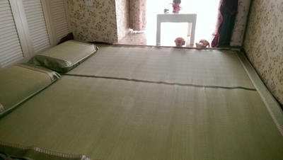 天然日式特殊尺寸定制定做蔺草席