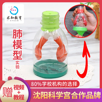 肺模型科学实验套装幼儿园小学生肺呼吸运动教学模型玩具制作材料