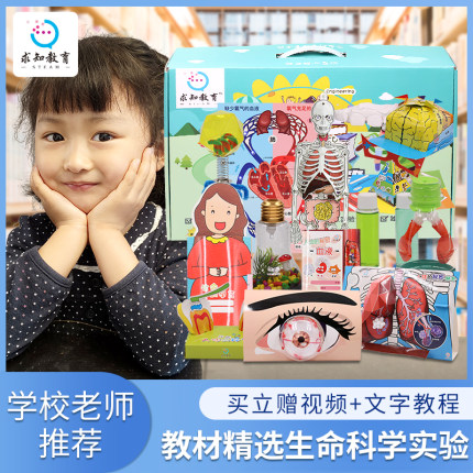 儿童生命科学实验器材套装 幼儿园小学生制作材料 实验小发明diy