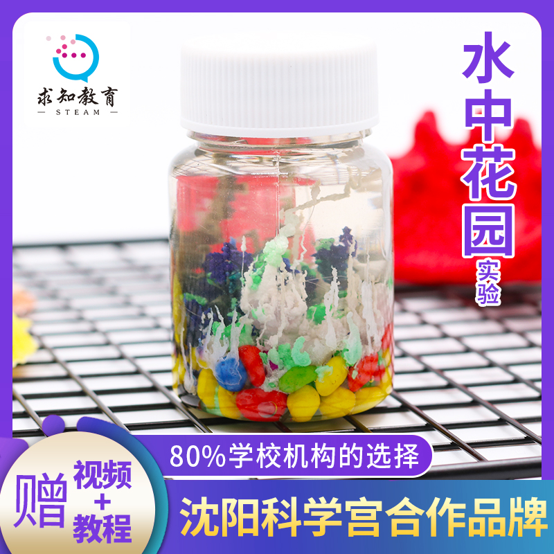 diy水中花园化学拼装科技小制作