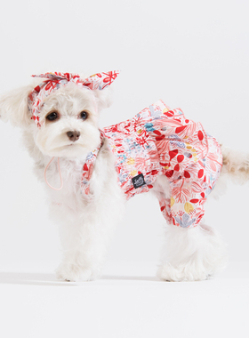 sniff宠物狗狗猫咪小型犬春夏薄款衣服断码清仓链接7性价比高