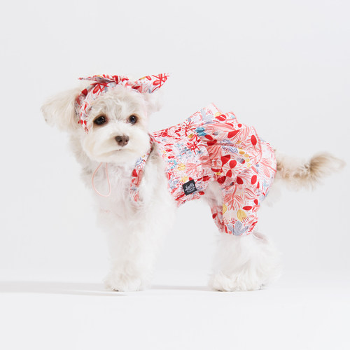 sniff宠物狗狗猫咪衣服