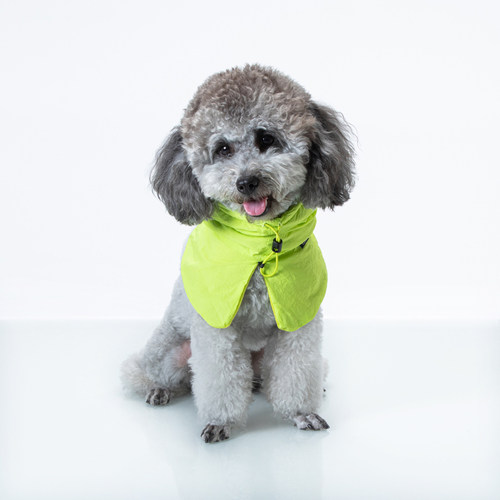 sniff宠物狗狗猫咪小型犬衣服断码清仓链接5性价比高