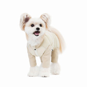 Sniff宠物狗狗猫咪绒棉四脚衣服泰迪柯基比熊法斗小型犬秋冬棉服