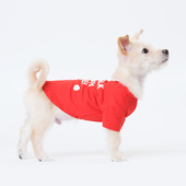 sniff宠物狗狗猫咪小型犬春夏薄款 清仓链接6性价比高 衣服断码