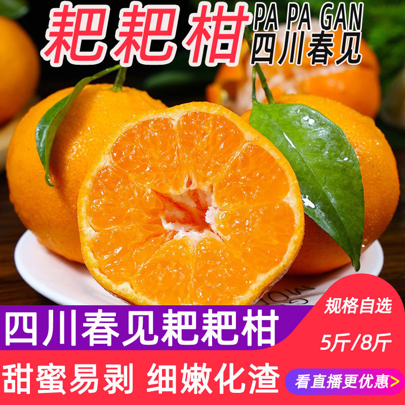果窝镇 现摘四川春见耙耙柑新鲜5斤/8斤橘子桔子整箱应季水果包邮,水产肉类/新鲜蔬果/熟食,石榴,淘宝优惠券,粉丝福利购,淘宝优惠卷