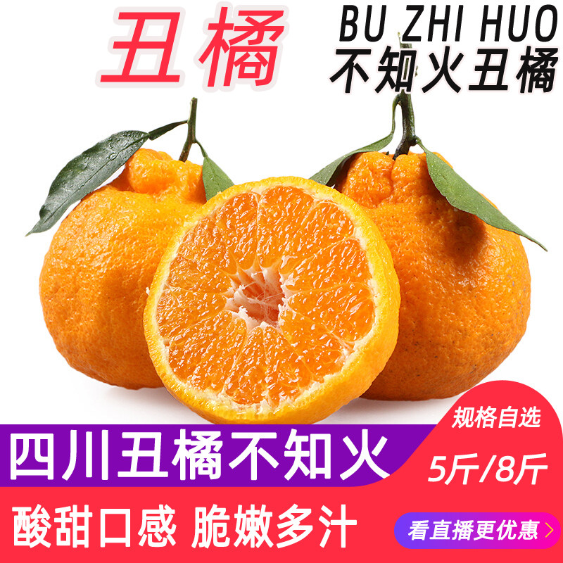 果窝镇 四川不知火丑橘桔子新鲜丑八怪橘子应季水果5斤/8斤包邮