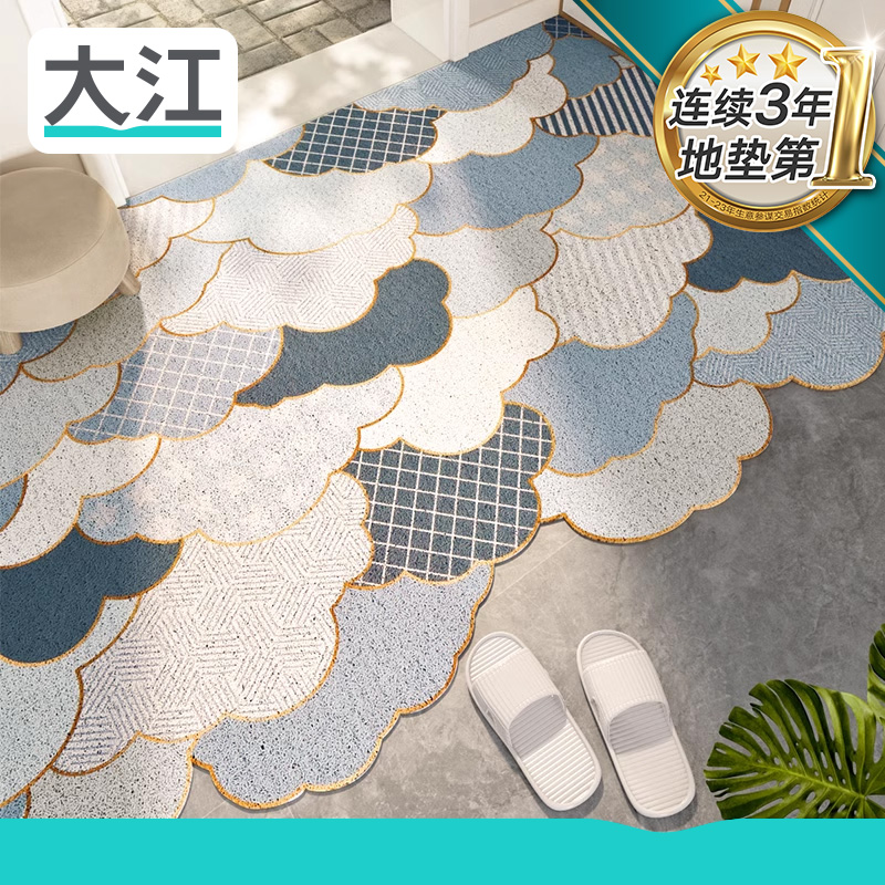 丝圈入户门脚垫家用门口地垫