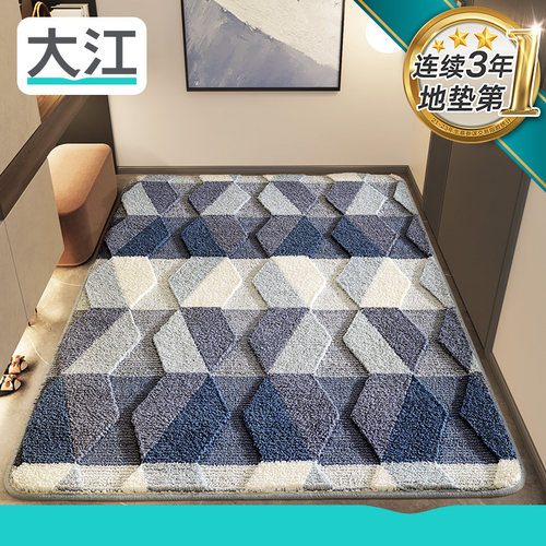 家用地毯进户门定制防滑垫子