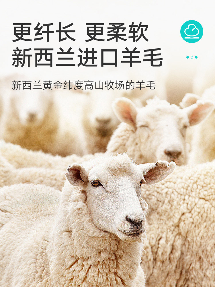 床边毯灰色房间高级感毛毯家用沙发客厅茶几地垫卧室羊毛垫子