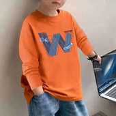 男童装 纯棉打底衫 潮流圆领休闲炸街内搭薄款 春装 春季 上衣童装 长袖