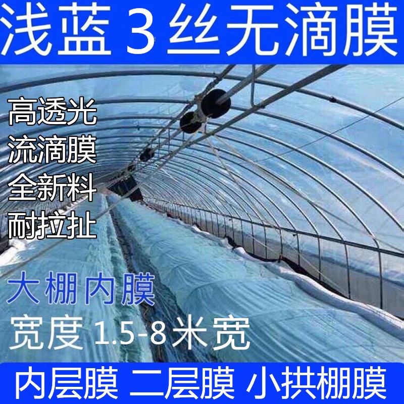 浅蓝色淡大棚二层小拱棚膜盖果树3/4米5宽抗老化耐拉扯农资橘子树