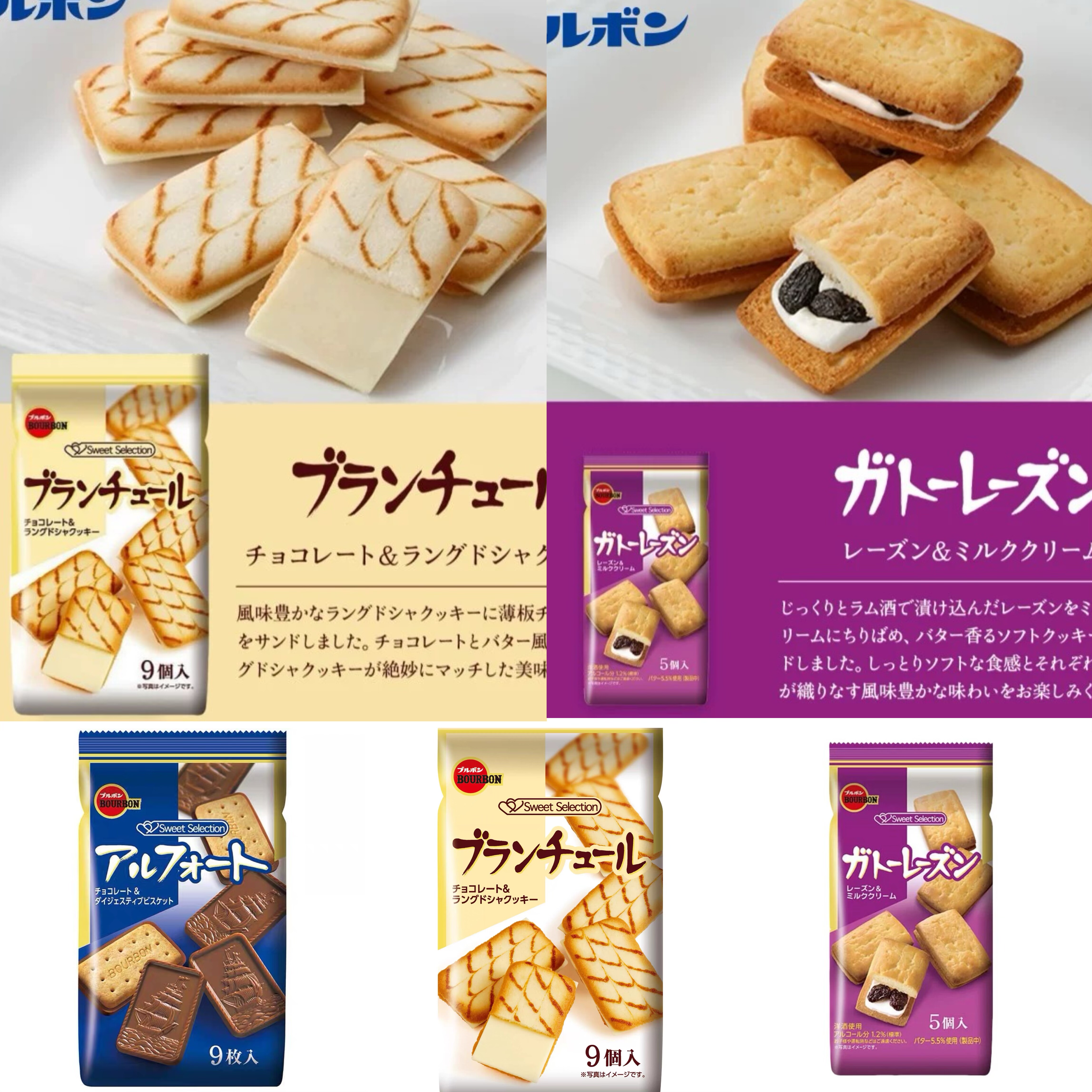 日本进口布尔本白巧克力夹心饼干提子奶油夹心帆船巧克力饼干