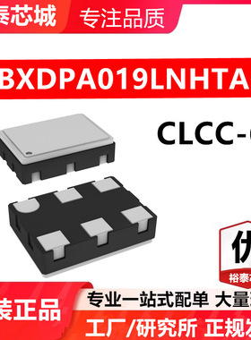 NBXDPA019LNHTAG CLCC-6 芯片 全新原装进口 一站式配单