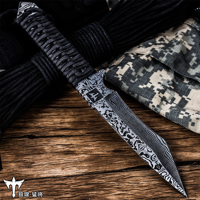 开刃锋利刀随身小刀野餐野外用特殊用途刀具家用切水果刀直刀切肉