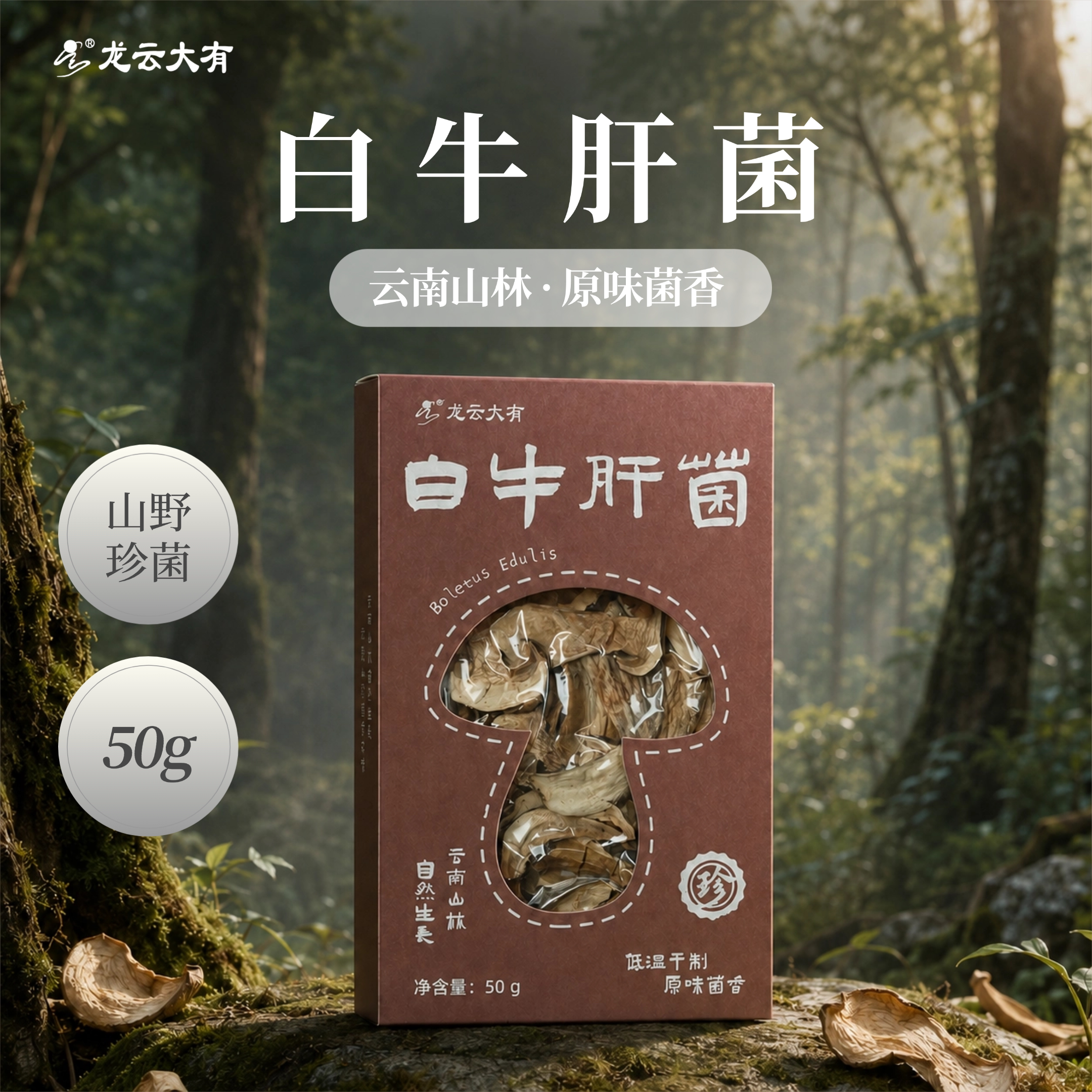 龙云大有白牛肝菌干货云南特产正宗深山菌菇山珍盒装营养煲汤食材