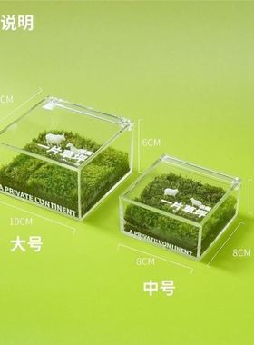 我的牛马小草坪摆件适合打工人养的迷你解压微景观办公室工位装饰